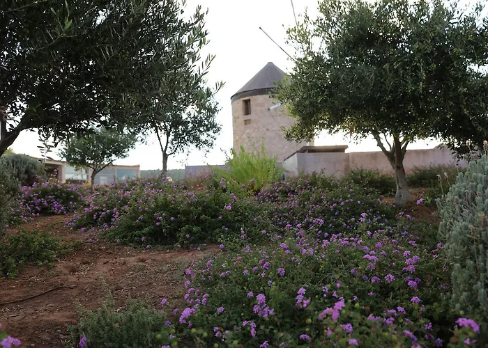 Hotel The Windmill *